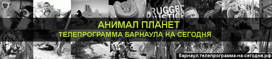 Телепрограмма на сегодня канала Анимал Планет, Барнаул