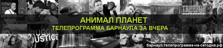 Телепрограмма за вчера канала Анимал Планет, Барнаул